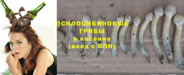 apvp Гусь-Хрустальный