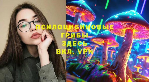 СК Гусев