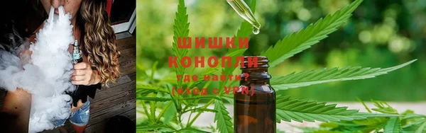 прущий лед Горняк