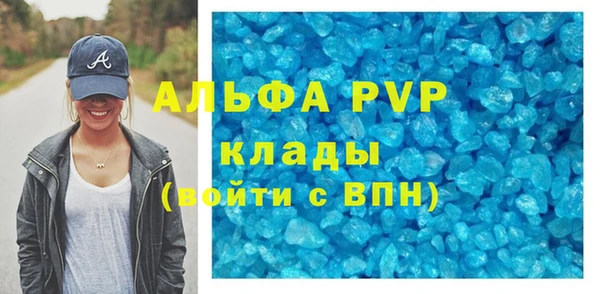 СК Гусев