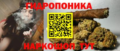 кокс Гусь-Хрустальный