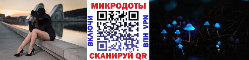 Псилоцибиновые грибы Cubensis  купить закладку  Москва 