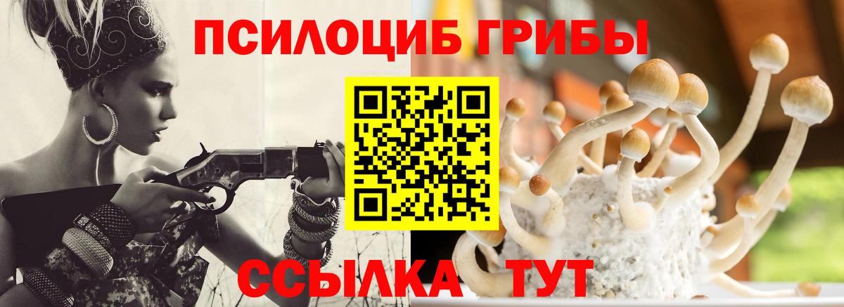 Галлюциногенные грибы MAGIC MUSHROOMS Москва